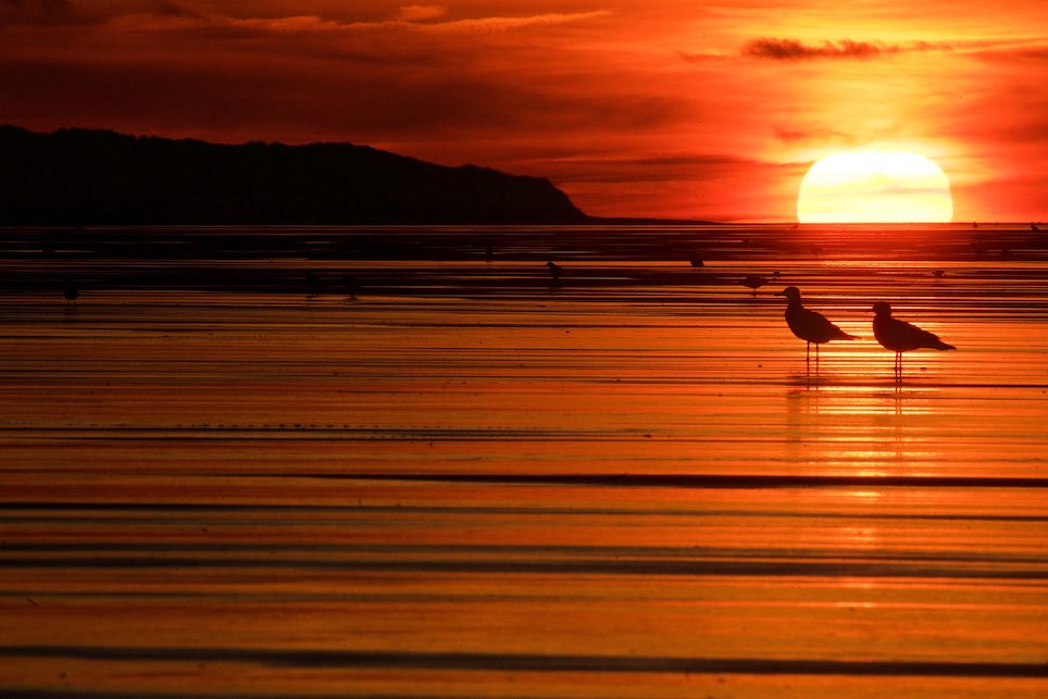 coucher de soleil à calais