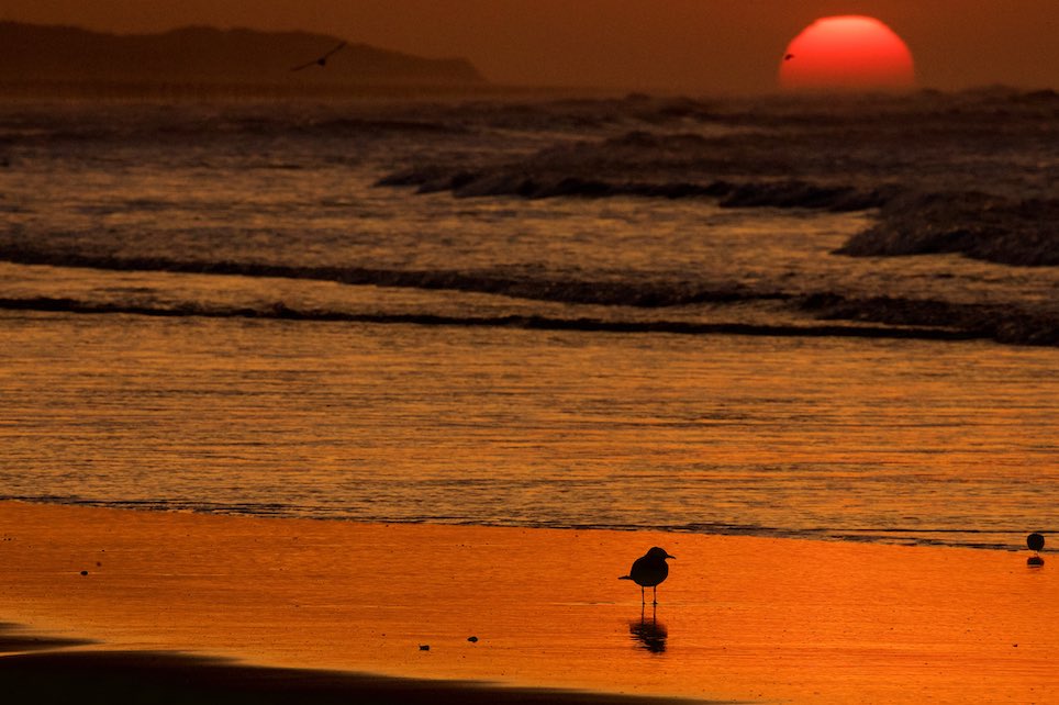 coucher de soleil à calais