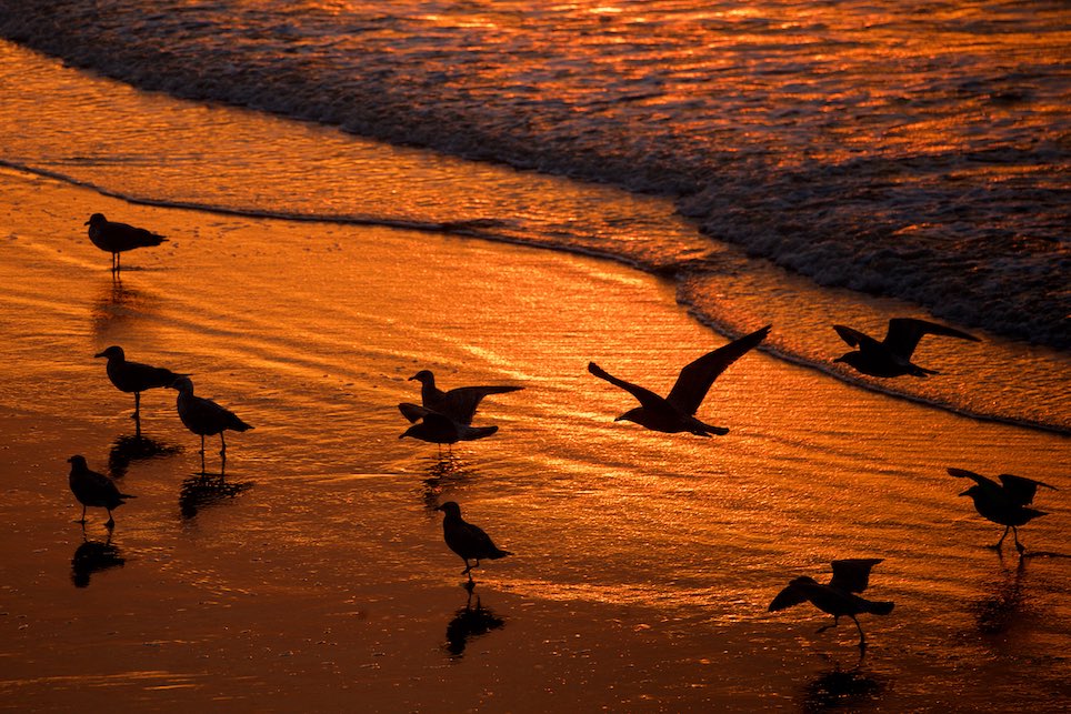 coucher de soleil à calais