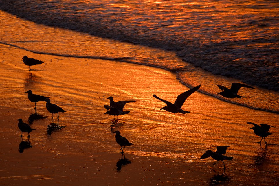 coucher de soleil à calais