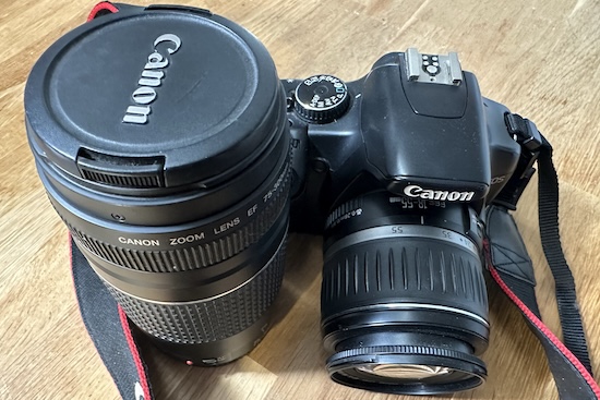 Choosing a DSLR: under €80 on the used market!